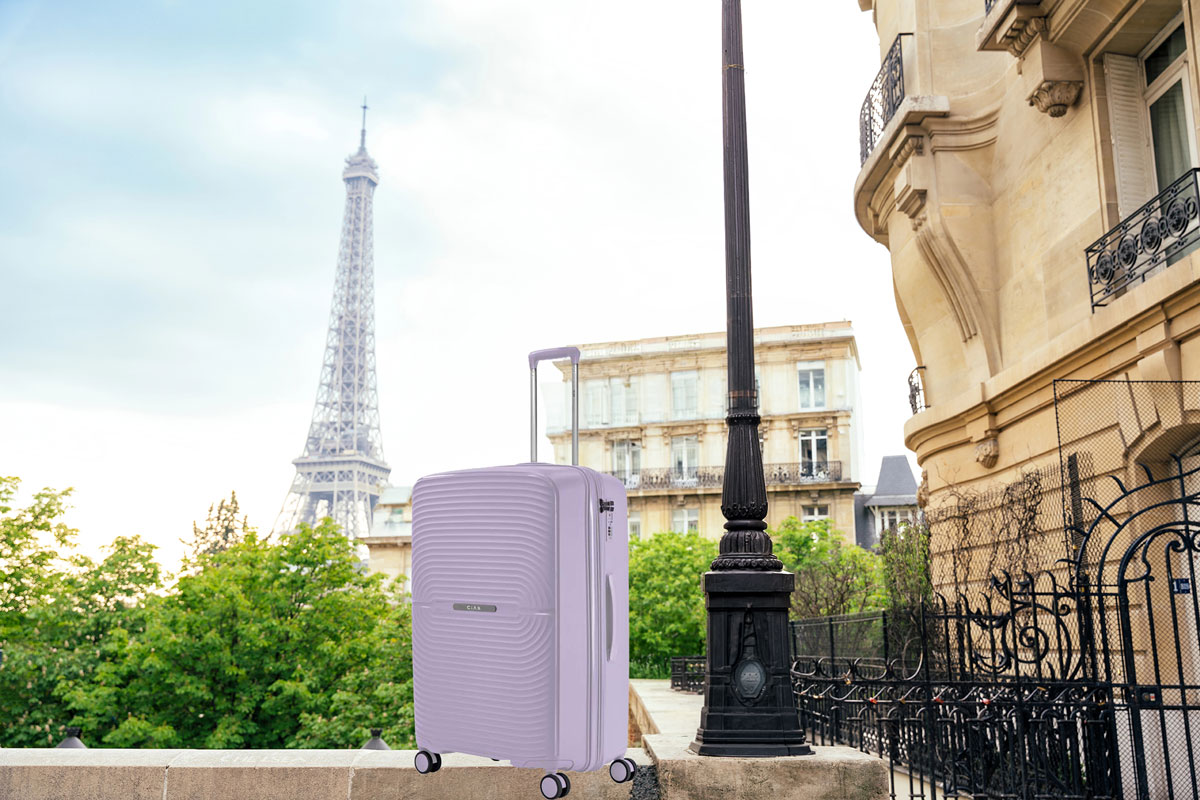 come-organizzare-viaggio-parigi con il trolley cabina